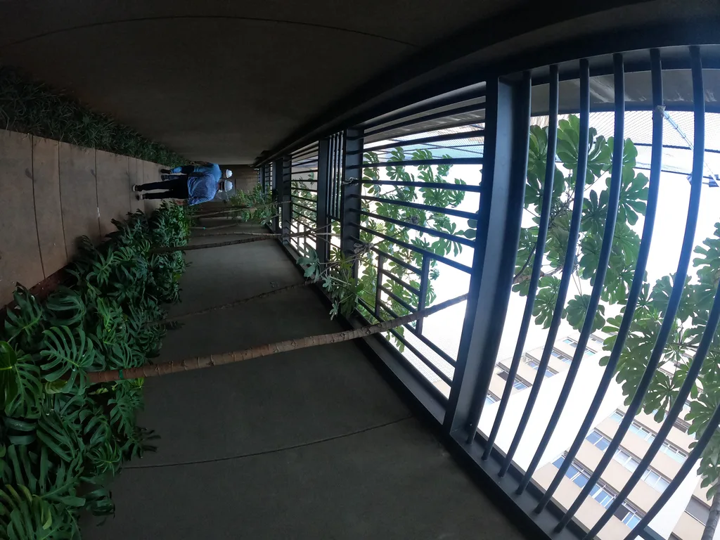 Arbórea Itaim: Garden