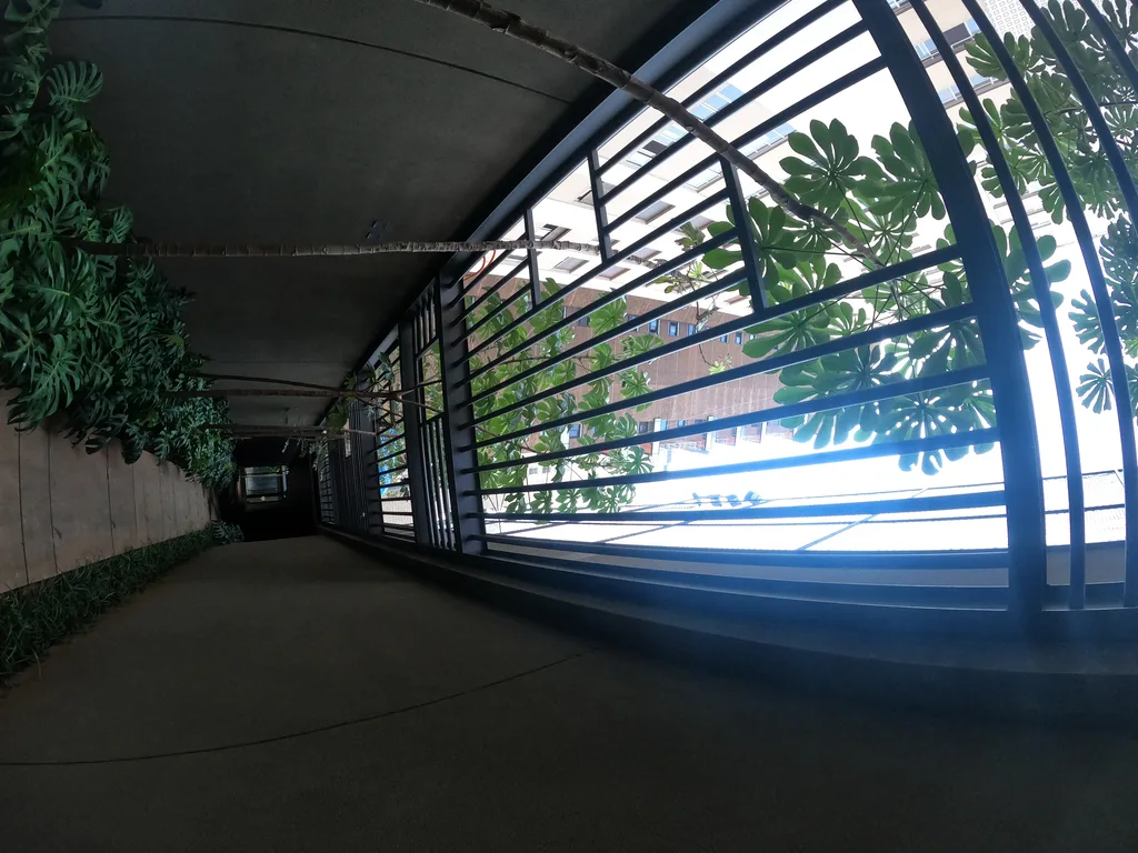 Arbórea Itaim: Garden