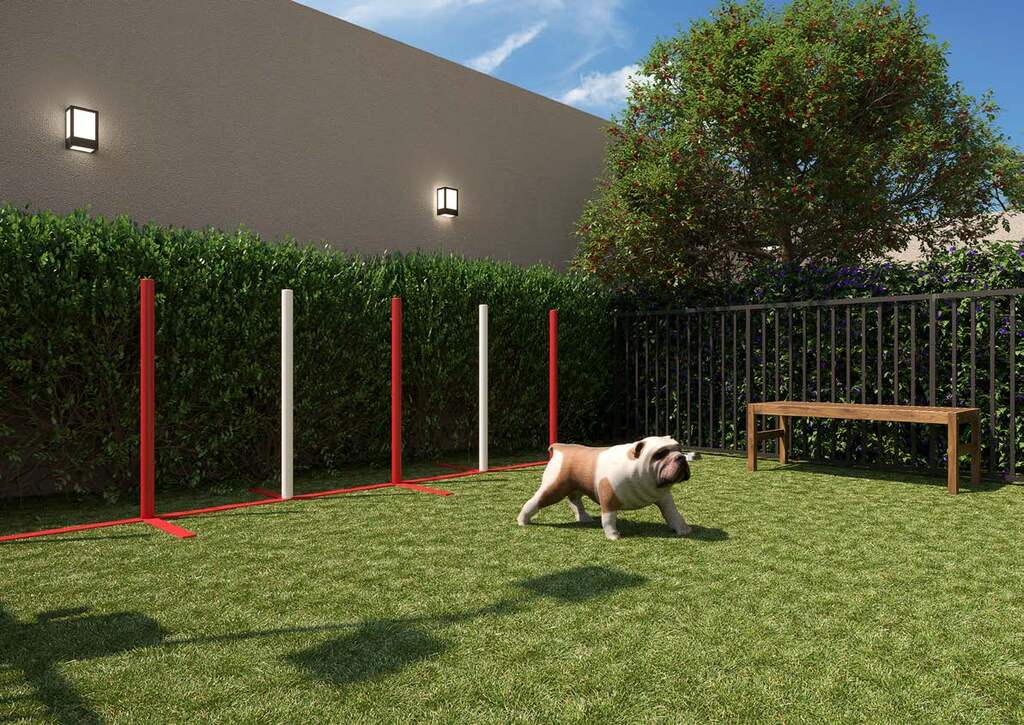 Ares Ipiranga: Pet place