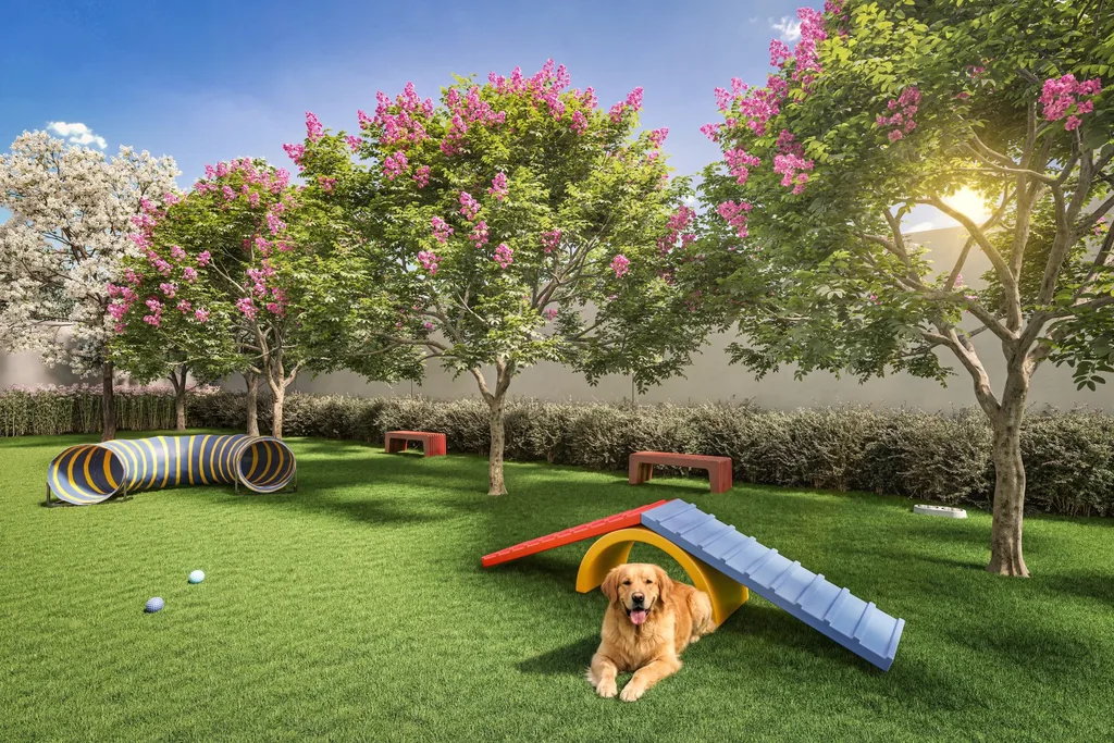 Class Prime: Pet place