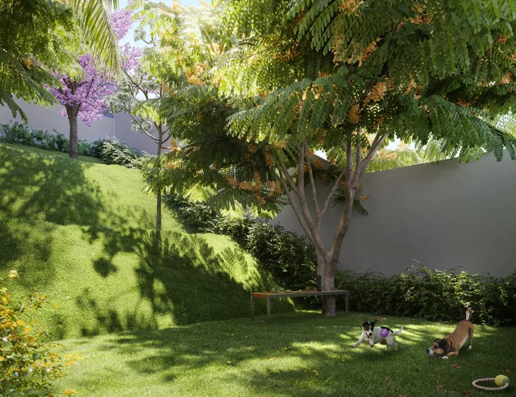 Cult Vila Mariana: Pet place