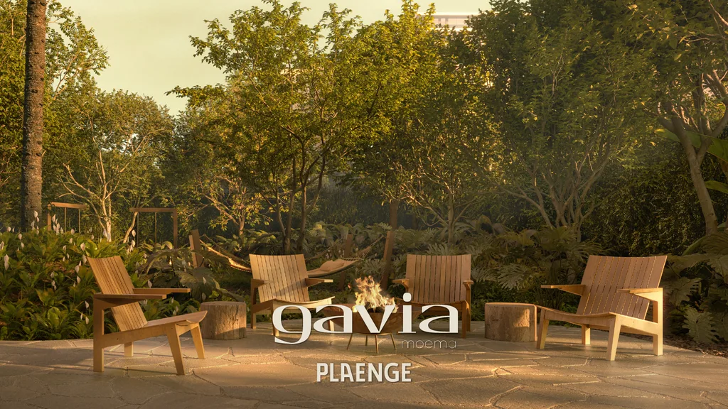 Gavia Moema: Breve lançamento gavia moema