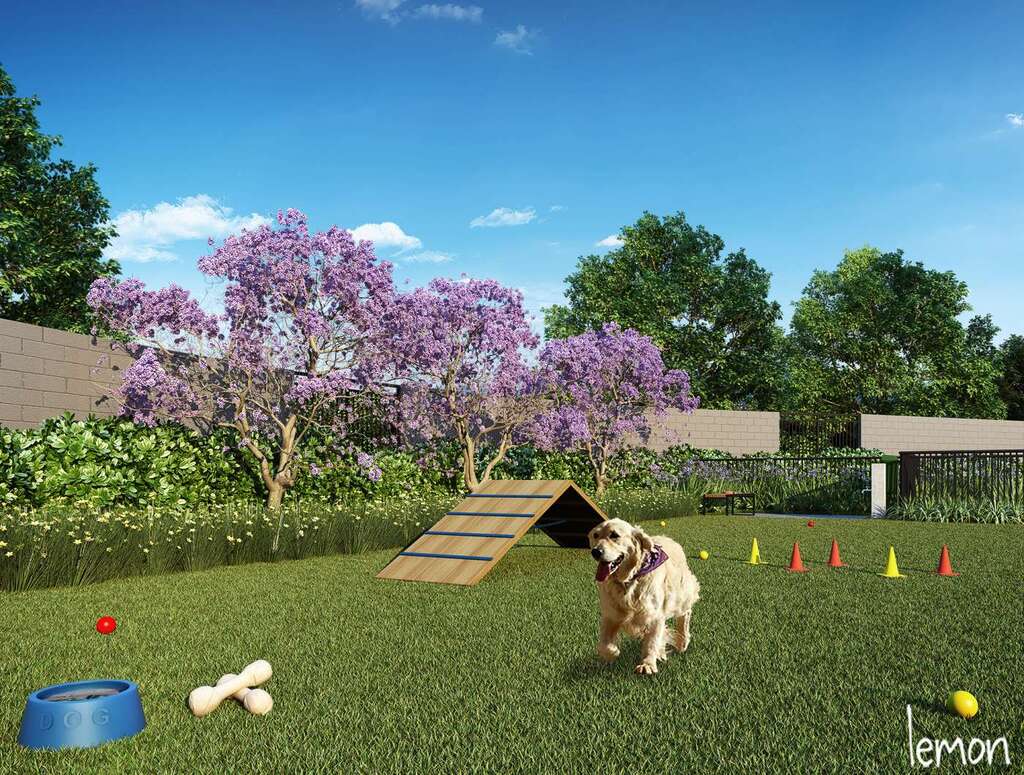 Gran Kazzas Nações Unidas Fase 2: Pet place