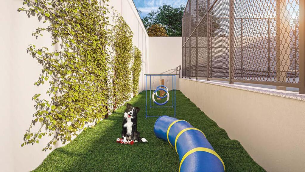 JUMP Assunção by Motiró: Pet place