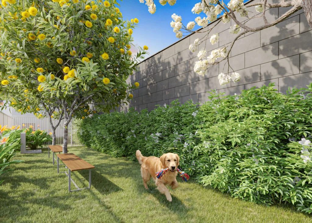 Kazzas Santo Amaro: Pet place
