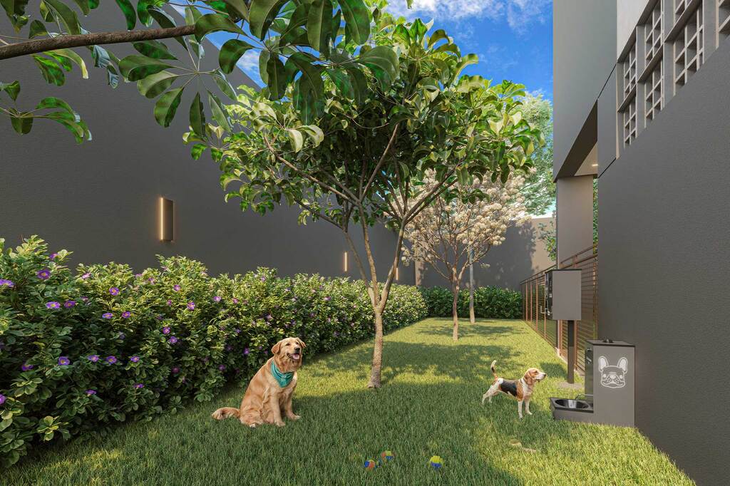 Mac Campo Belo: Pet place