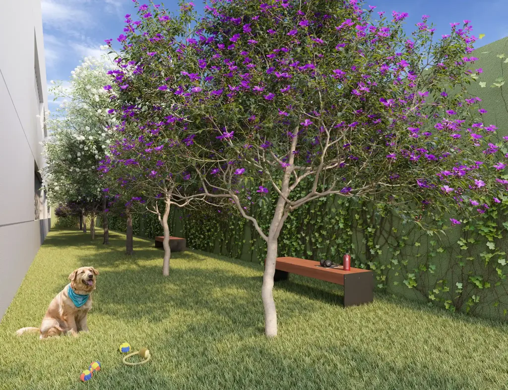 Mac Vila Clementino: Pet place
