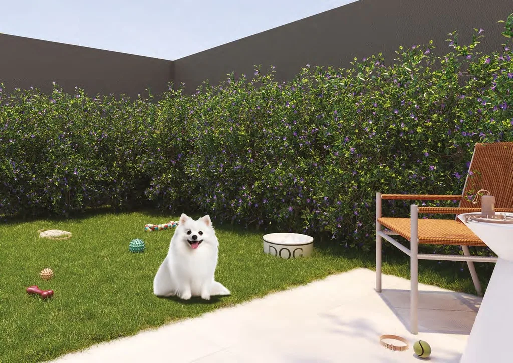 Motiró Barcelona: Pet place