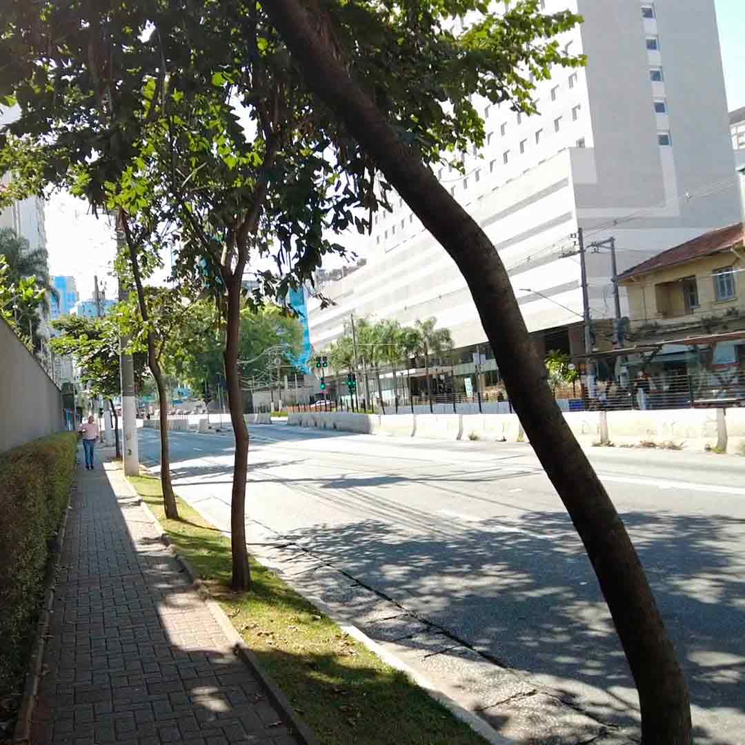 Nex One João Cachoeira