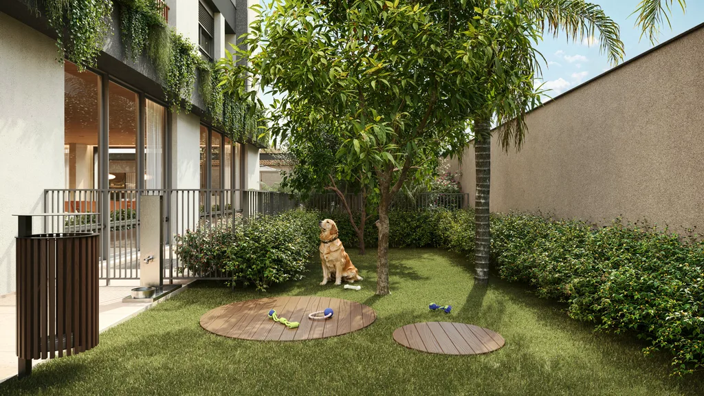 Nuv Moema: Pet place