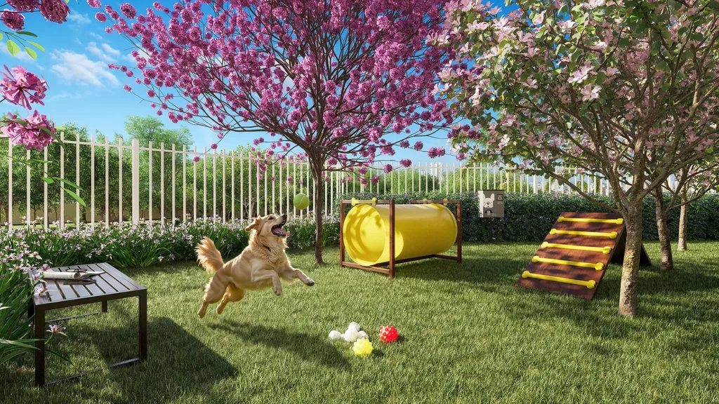 Plano&Vista Santo Amaro: Pet place