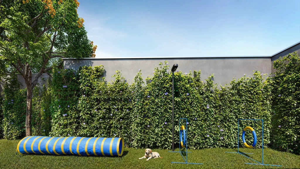 The Only Moema: Pet Place