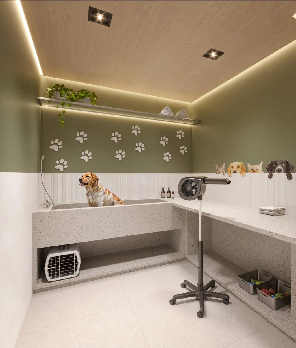 Today Campo Belo: Pet care
