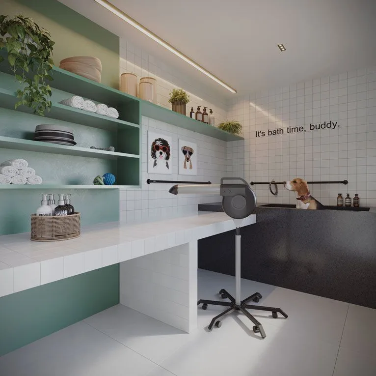 Today Paraíso: Pet care