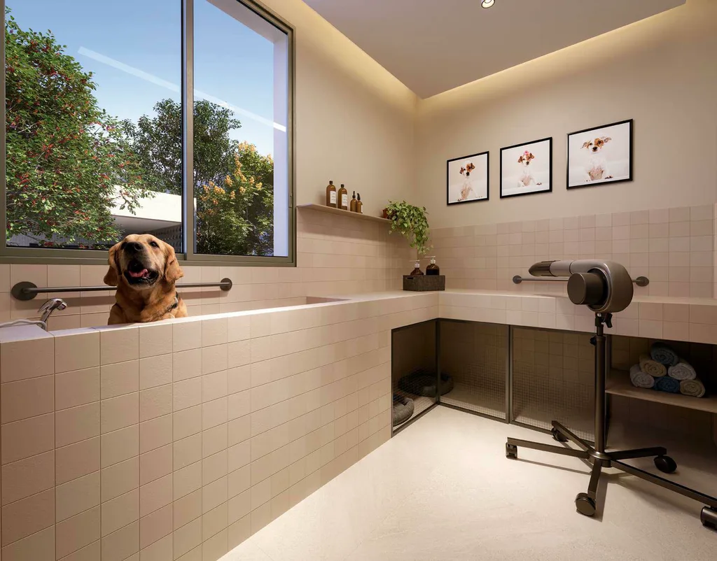 Today Vila Clementino: Pet care