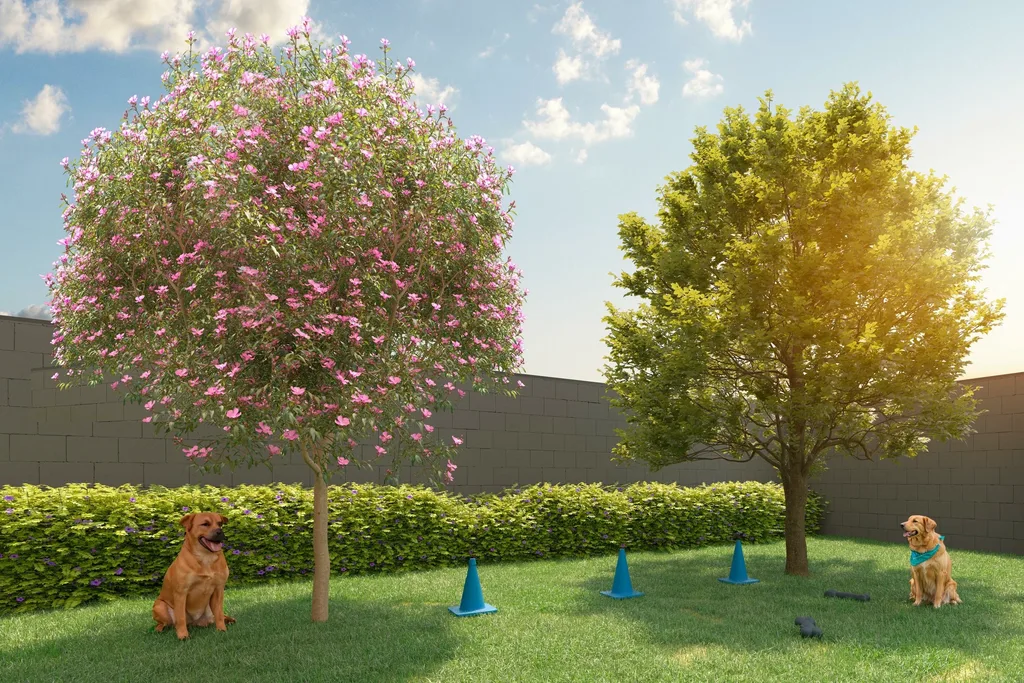 Vivaz Connection Adolfo Pinheiro: Pet place