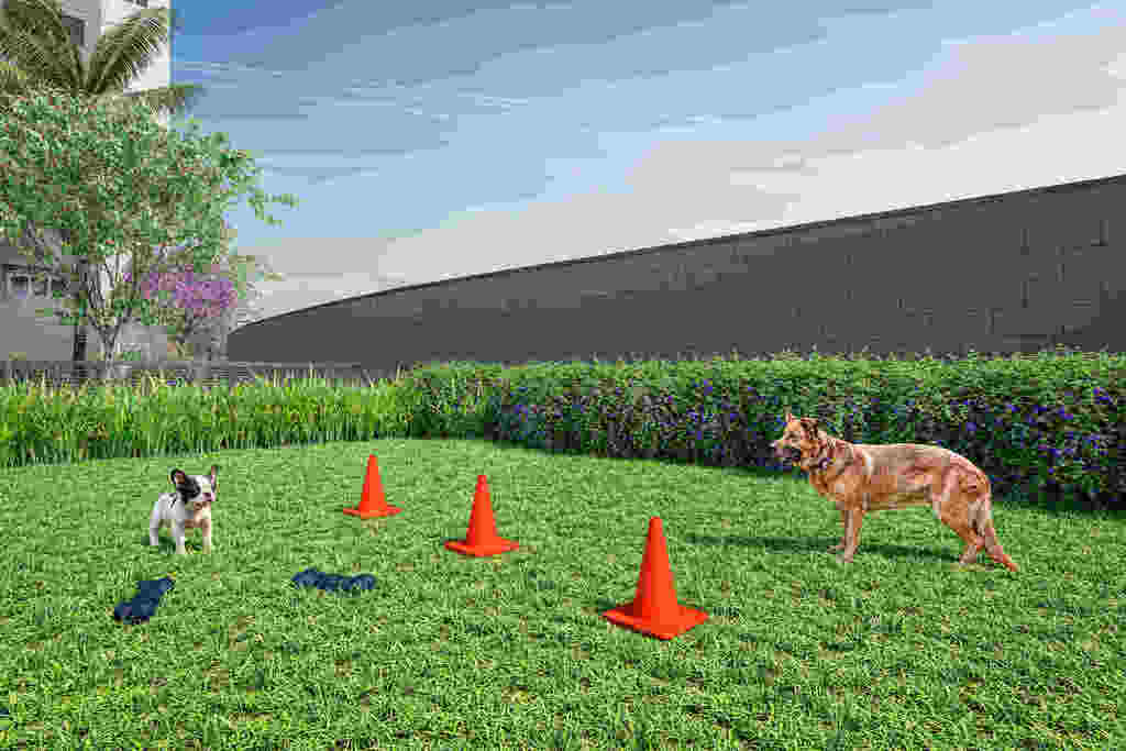 Vivaz Connection Klabin: Pet place