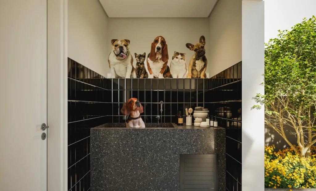 Zenion: Pet care